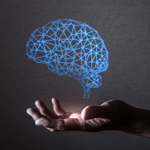 ホームページ開設中です。もうしばらくお待ちください。